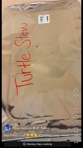 Nathaniel Delafosse on Reels