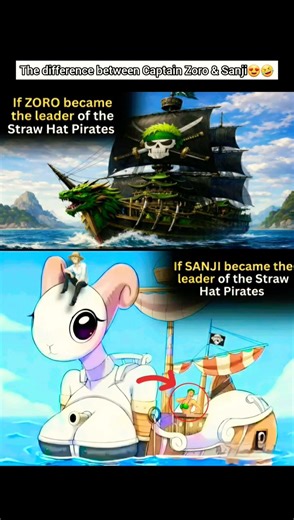 The difference between Zoro & Sanji😍🤣 #anime #onepiece #memes