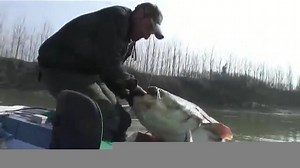 Miren el bagrecito que saco!!! www.caminosypiedras.com/pesca | Caminos y Piedras - Pesca