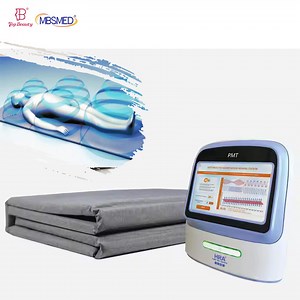 [Hot Item] Pemf Machine Infrared Pemf Mat Pmst Loop