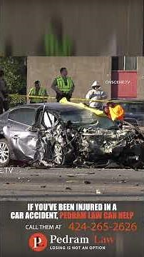 2 People and 2 Dogs Killed in High-Speed Head-On Crash