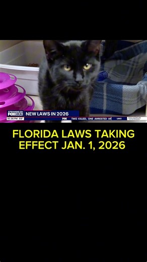 FLORIDA LAWS TAKING EFFECT JAN. 1, 2026 BRING SWEEPING CHANGES FOR RESIDENTS 📜⚖️🌴 • A wide range of new Florida laws approved during the 2025 legislative session will take effect January 1, 2026, impacting everything from animal welfare and insurance to healthcare and condominium regulations. State officials say the changes reflect a push toward stronger consumer protections and greater transparency, with more than 100 measures set to reshape daily life for millions of Floridians across the st