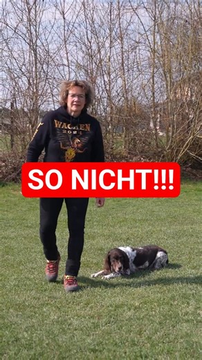 💥🐶 DOG TRAINING 👉 How OFTEN & how LONG really?💥✔️