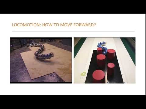 Bode Lecture | Distinguished Talk on Control Systems & Engineering