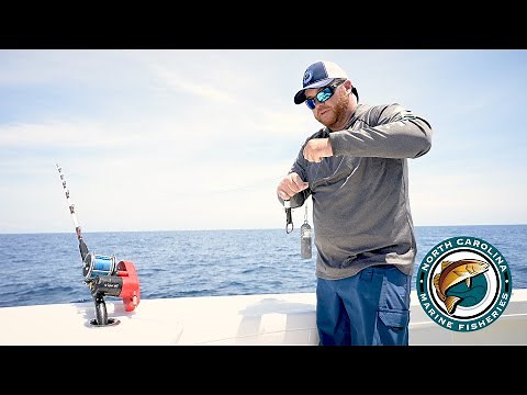 Descending Devices for the Snapper/Grouper Fishery