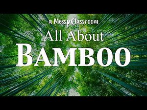 All About Bamboo | The Fastest Growing Plant on Earth Grass Science Uses & Amazing Facts