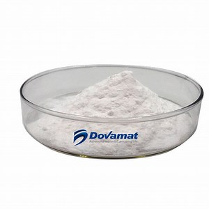 [Hot Item] PTFE Powder Plastic Products Additive Polytetrafluoroethylene Micro Powder