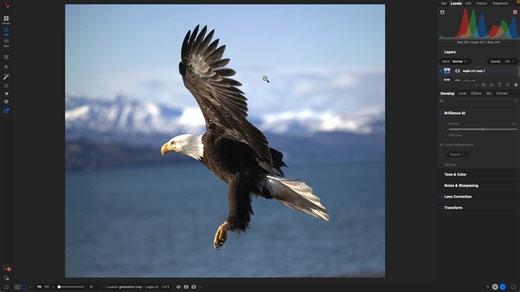 The all-new Generative Crop feature in ON1 Photo RAW 2025 empowers photographers to perfect their wildlife photos like never before. Say goodbye to awkward compositions and missing elements. Whether a clipped wing or tight framing, this AI-driven tool instantly extends your canvas and seamlessly fills in the gaps. Now, you can effortlessly recompose your shots and ensure every image tells a complete story, giving your wildlife photography a perfect finish. Learn more here: https://bit.ly/4dVWEYF