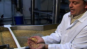 Watch Modern Marvels Season 16 Episode 7 - Beans
