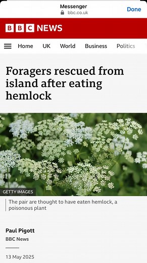 1.2K reactions · 167 shares | #hemlock may not be the most poisonous...