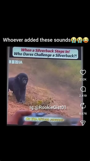 Nah Homie Getting Jumped - A Hilarious Moment