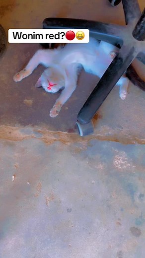 Wonim red 😆😂🔴#fypシ゚viral #red #trendingtiktok #fyp