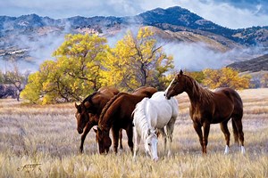 We have easy shopping at Tim Cox Fine Art. Great selection and quick service. TimCox.com or call us at 505-632-8080 I hope your friends will enjoy this post! Check our TimCox.com for the best bargains! | Tim Cox Fine Art