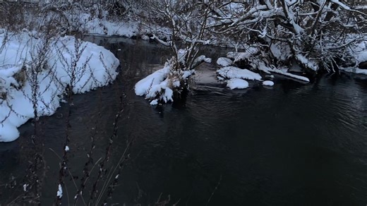 Understanding Apathy and Its Impact on Daily Life