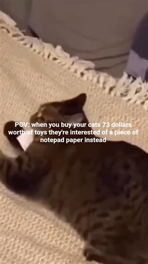 POV: when you buy 73 dollars worth of toys they're interested of a peice of notepad paper instead