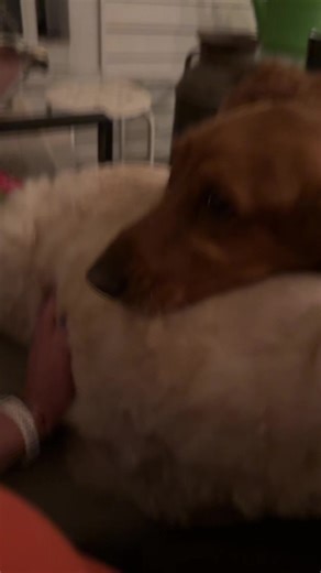 Jamie Hall (@4jamierhall4)’s videos with original sound - RxCKSTxR