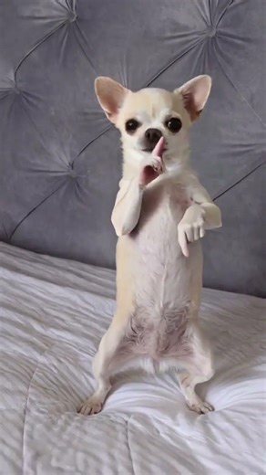 Весна🤣🤣🤣