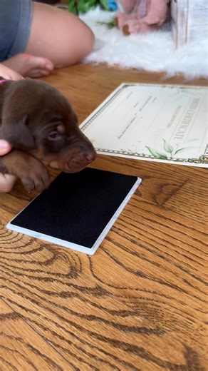 2.1M views · 58K reactions | Baby Charlotte — now proudly known as...