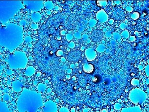 Blue Oyster Spiral Fractal Zoom