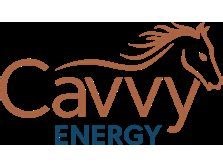 Pieridae Proposes Name Change to Cavvy Energy