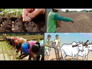 Methods of Sowing Seeds