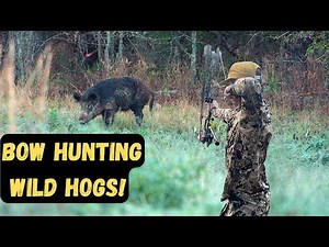 The CRAZIEST Day BOWHUNTING WILD HOGS! | 3 Hogs in 1 Morning!!!