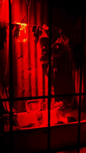 👻 Le Cinéma 4D a libéré ses créatures... Depuis, elles errent dans les allées, piégeant le parc dans une malédiction cauchemardesque. À Halloween, seuls les plus courageux oseront pénétrer dans le cinéma abandonné pour tenter de les renvoyer dans leur monde. Mais… en reviendront-ils vivants ? 🎟️ Tarif : 8 € en ligne | 9 € sur place (non inclus dans le billet d'entrée du parc) 🔥 Envie de vivre l’expérience sans attendre ? Optez pour le billet VIP : accès prioritaire entrée au Cinéma abandonné 