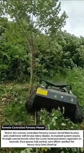 Remote-Controlled Forestry Mower – Brutal Power Clearing Thick Brush!