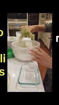How To Wash Broccoli Sprouts (and remove the extra seeds)