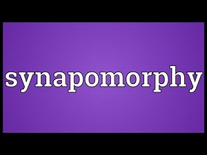 Synapomorphy Meaning