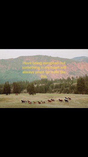 Ranch Life: A Calm Western American Dream