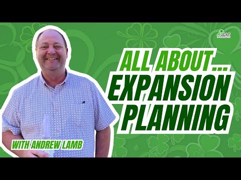 How the Ansoff Matrix Led to IKEA's Successful Expansion Into India