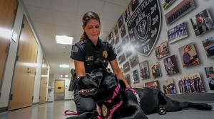 'This is police reform': How officers are learning to defuse crises before they escalate