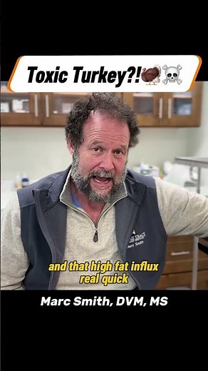 Holiday Dog Emergencies: Turkey Trouble with Marc Smith, DVM, MS