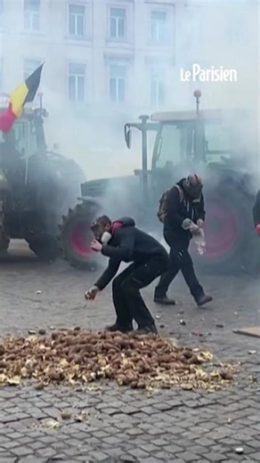 Mercosur : des affrontements entre agriculteurs et policiers à Bruxelles