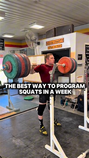 Dane Miller on Instagram: "If I had to program squats for an entire week, this is how I would lay out the week. Laying out back squats, single leg squats and front squats, we like to play around with specific days and loads. Start the week heavy, then work toward speed squats and moderate front squats. Slowly build back into a heavier approach at the end of the week. When in doubt, squat more. #cultivateyourpower Gym: @garagestrength Program: @peakstrengthapp"