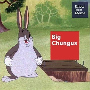Know Your Meme 101: Big Chungus