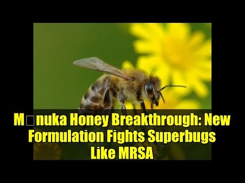 Mānuka Honey Breakthrough: New Formulation Fights Superbugs Like MRSA