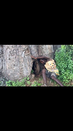Hadzabe tribe bushmen live in BaoBao Trees in the Forest #africa #hadzabe #trendingnow #tribe #reels #hadzabe #hunters #hadzabetribe #africa | African Village