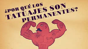 1.1M views · 570 reactions | It’s National Tattoo Day! If the human body sheds 40,000 skin cells in just one hour, how do tattoos stick around for so long? | TED-Ed | Facebook