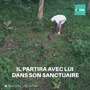 Un python serpent entrait dans une ferme. C’était très dangereux pour les vaches qui habitaient là-bas, donc un homme très courageux a fait sortir le reptile sans aucune peur. | Social