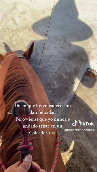 The Joy of Charreada: A Look into Mexican Rodeo Coleaderos