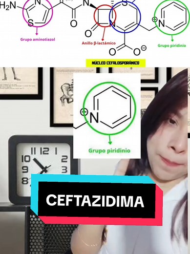 Understanding Ceftazidime in Pharmacology