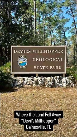 Devils Millhopper – Giant Sinkhole Hike in Gainesville FL