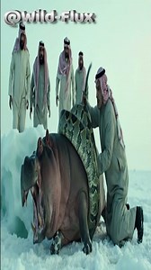 HUGE PYTHON TAKES DOWN HIPPO! Deadly Constriction Takedown 🐍 | 巨蟒河马 #shorts