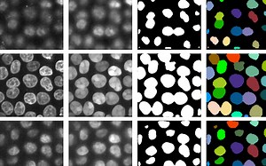 CellProfiler | What's new in CellProfiler 4?