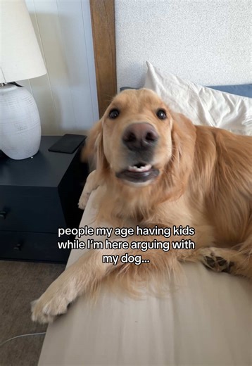 Arguing with My Golden Retriever: A Hilarious Take