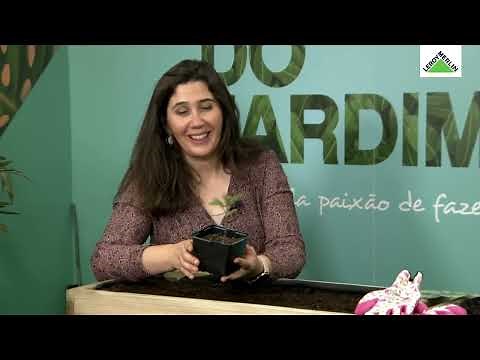 Crio a minha horta biológica, com a Susana Caseiro - Workshop da Casa | LEROY MERLIN