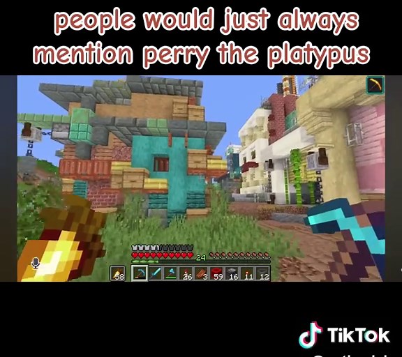 Nostalgic Moments with Stressmonster101 in Hermitcraft