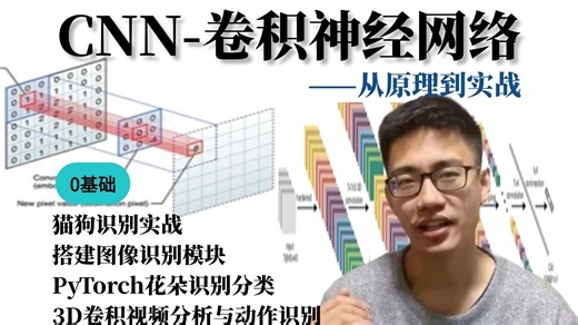 毕设/课设没项目？这个CNN实战教程能直接用！2小时搞定图像识别+视频分析，同济大佬带你逐行代码实战！附完整源码与数据集！-人工智能/计算机视觉